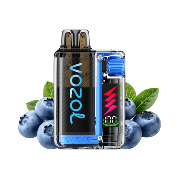 VOZOL Vista Plug Starter Kit Blueberry Ice 20mg