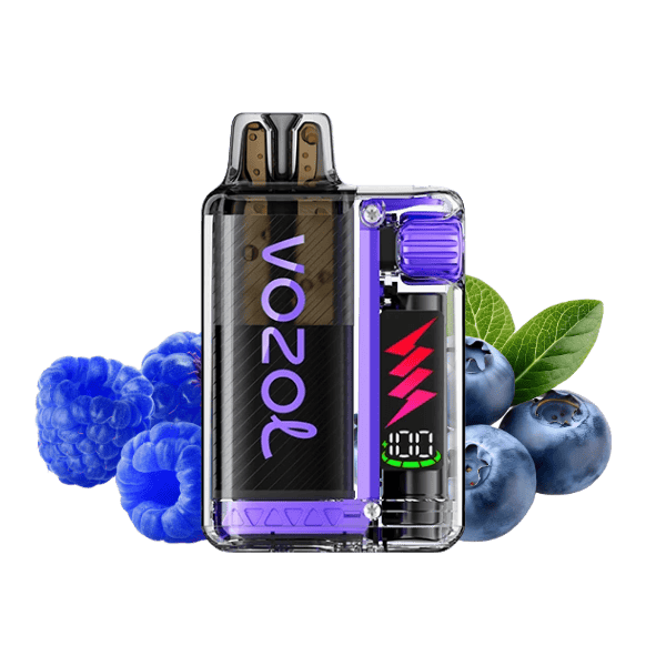 VOZOL Vista Plug Starter Kit Blueberry Sour Raspberry 20mg